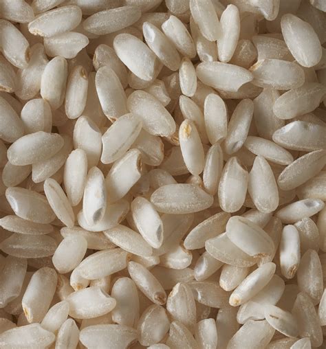 Arborio Rice 1kg Riso Magno