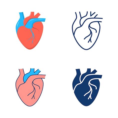 Premium Vector Human Heart Icon Set