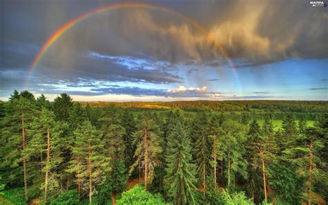 Woods Great Rainbows Clouds Medows Beautiful Views Wallpapers