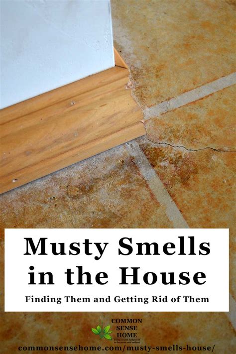 How To Get Rid Of Musty Smell In Old House