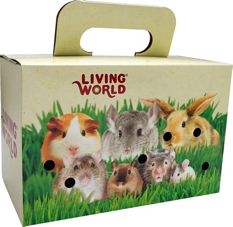 Living World Pet Carrier Cardboard Box Pet Supplies
