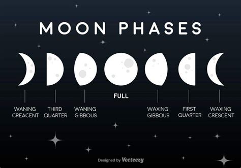 Moon Phases Moon Phases Art Moon Phases Drawing Moon Phases