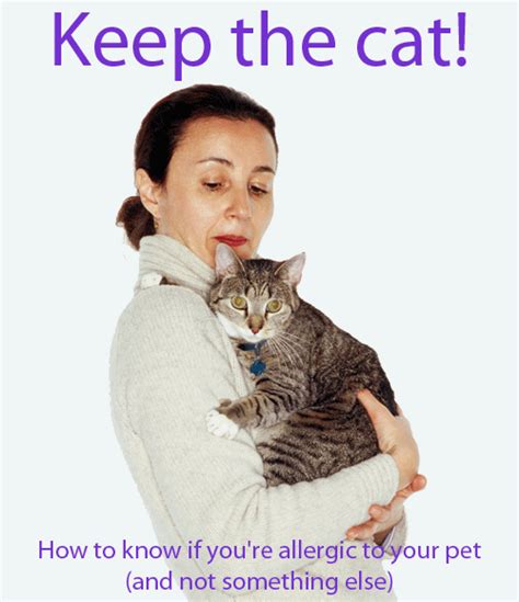 How To Know If Youre Allergic To Your Pet And Not Something Else