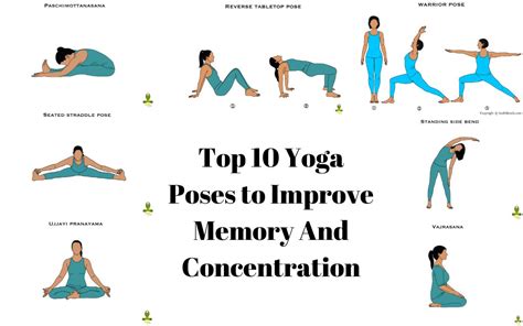 Top 10 Yoga Poses To Improve Memory And Concentration