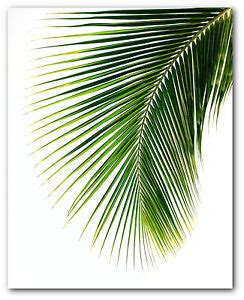 Monstera palm, banana and more! Palm Leaf Print, Tropical Palm Leaf Print, Palm Art, 8 x ...