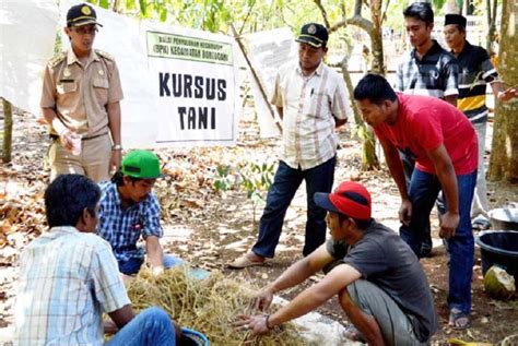 .lengkap perabotnya perlindungan asuransi lengkap selesai magang jepang 5 th dapat tunjangan modal mandiri dan pensiun sekitar 170 jt dapat sertifikat dari jitco japan / im. Tunjangan Penyuluh Pertanian di Banyuwangi Capai Rp 10 Juta | Republika Online