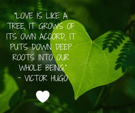 Tree Quotes About Love