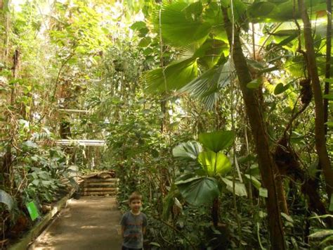 Jeśli film się tobie podobał kliknij lubię. Palmiarnia Poznanska (Palmenhaus Poznan) (Poznań) - 2019 ...