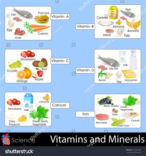 Easy To Edit Vector Illustration Of Vitamins And Minerals Chart