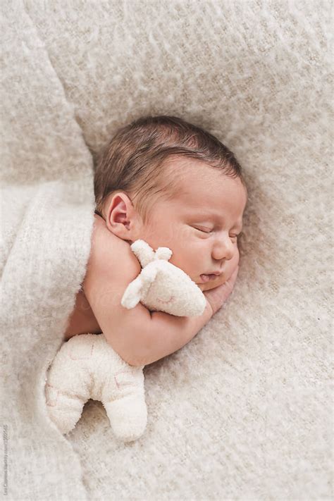 Newborn Baby Sleeping And Hugging Her Plush Toy Del Colaborador De Stocksy Lea Csontos Stocksy