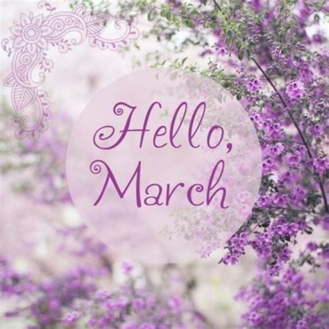 120 Hello March Quotes
