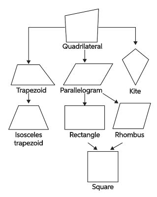 Quadrilateral Flow Chart With Kite