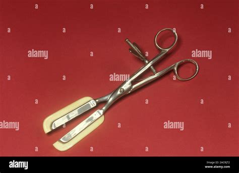 Haemorrhoid Forceps Made From Steel And Ivory Haemorrhoids Commonly