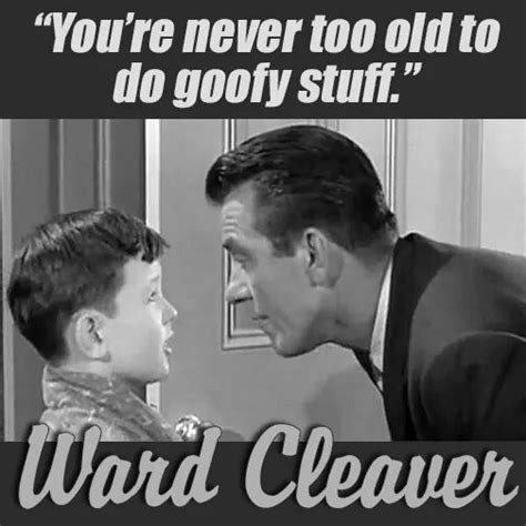 Pin By Illy Quiñones On Tv Shows From Long Ago Ward Cleaver Beaver