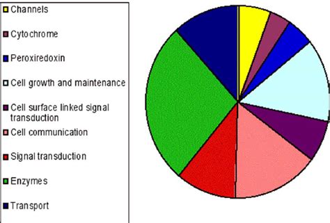 Gene Families Regulated By 670 Nm Led Treatment In The Retinas Of In