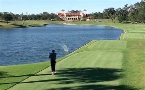 Defied All Odds Golfer Kills Bird With An Incredibly Unlucky Tee Shot