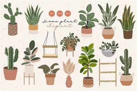 Home Plant Clipart Abstract Plant Elements Home Plant Png Boho Plant