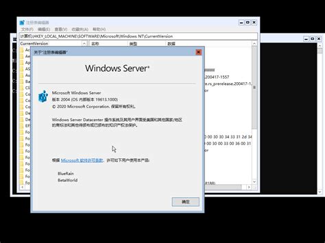 Windows Server 2022100196131000rs Prerelease200417 1557