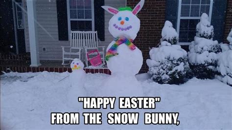 Snow Memes Happy Easter From The Snow Bunny Mar 24 2051 Utc 2013