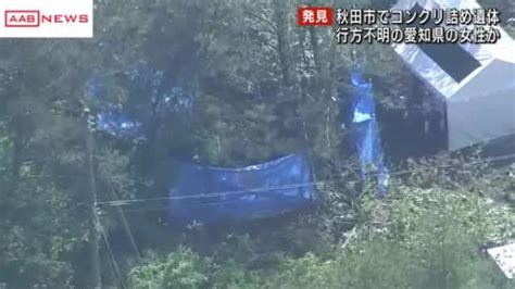 秋田市の雑木林で箱に詰められた遺体見つかる 行方不明の愛知の女性か ライブドアニュース