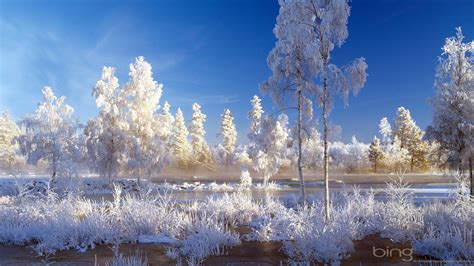 Hd Wallpaper Winter Landscape Wallpapersafari