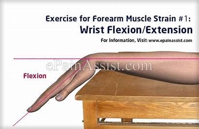 Forearm Muscle Strain Wrist Flexion Extension Exercises