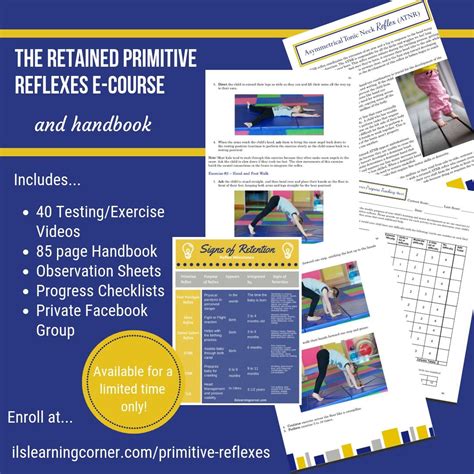 What Do Retained Primitive Reflexes Look Like Miss Jaime Ot