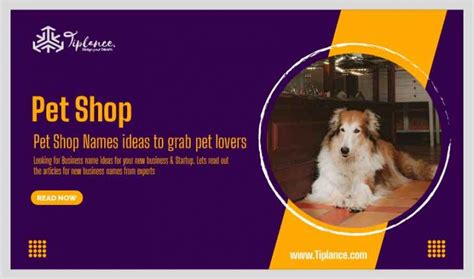 111 Pet Shop Names Ideas To Grab Pet Lovers Attention