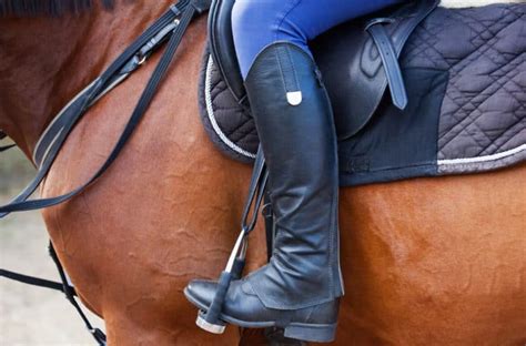 11 Must Equipment For Horseback Riding