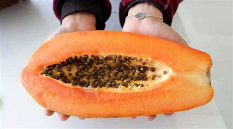 Do You Know The Health Benefits Of Papaya Seeds Health News The