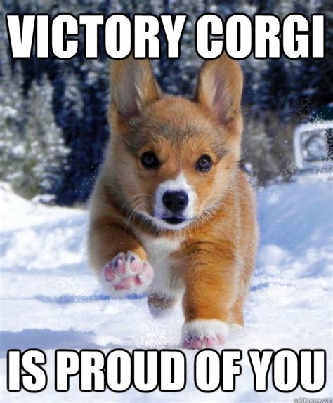 Victory Corgi Is Proud Of You Victory Corgi Quickmeme
