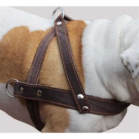 Genuine Brown Leather Dog Pulling Walking Harness Xlarge 35 395