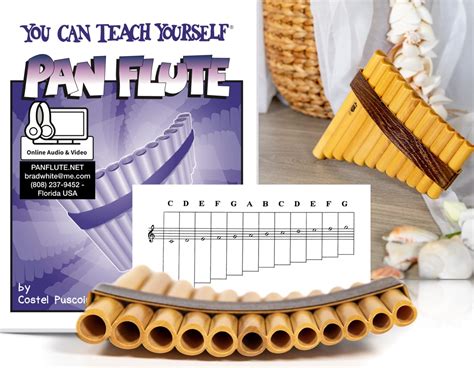12 Pipe Pocket Pan Flute Beginners Bundle The Pan Flute Shop