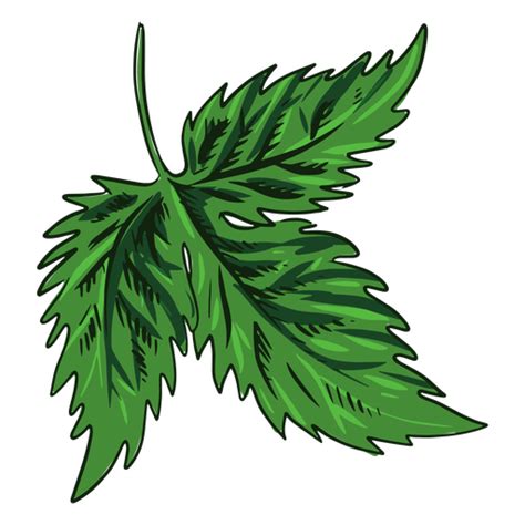Green leaf drawn #AD , #Green, #drawn, #leaf | Leaf drawing, Leaf ...