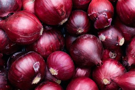 Fresh Onion Offers From Egypt Trade Data Tridge