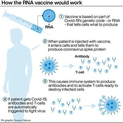 Scroll down to view it. Pfizer vaccine is 95% effective and works in older people ...