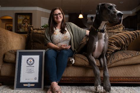 Guinness World Records Confirms Zeus As The Worlds Tallest Living Male