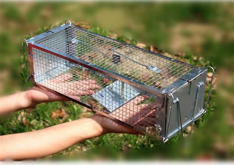 Batawa Double Door Rat Trap Small Animal Humane Live Cage Mice Rodent