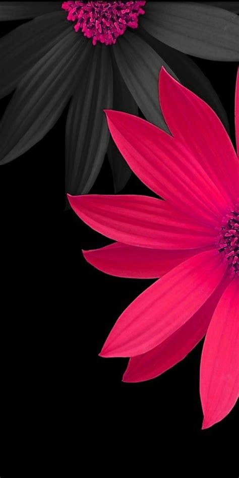 Check spelling or type a new query. ボード「*Pink and Flowers Wallpaper」のピン