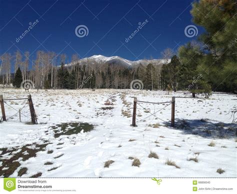 Snow Capped Mountains And Alpine Landscape In Arizona Stock Photo