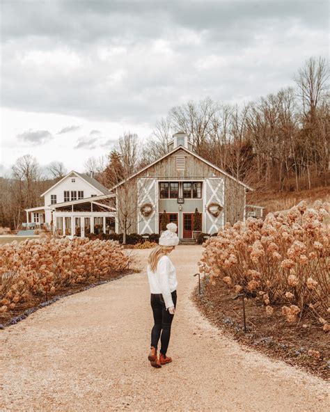 A Locals Monticello Wine Trail Guide 10 Best Wineries In