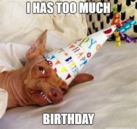 101 Happy Birthday Dog Memes I Has Too Much Birthday Happy