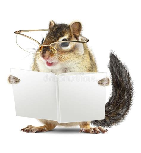 Funny Animal Chipmunk With Glasses Reading Book Jn White