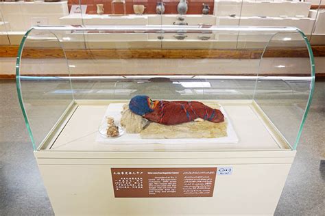 Xinjiang Regional Museum History Culture And Mummies