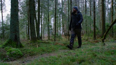 Man In Outdoor Outfit Walks Alone In The Forest Stock Video Footage Storyblocks