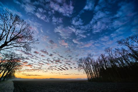 Free Winter Sunrise On Fields Stock Photo