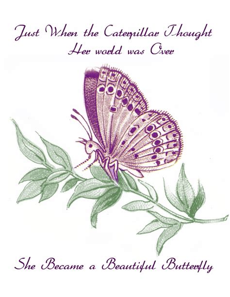 Butterfly Motivational Quotes Quotesgram