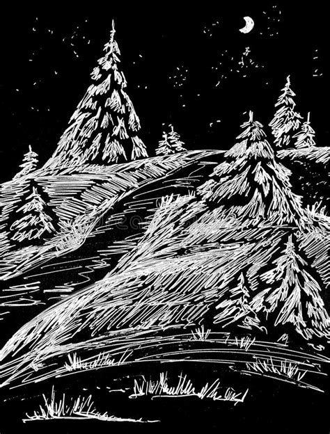 Winter Fir Trees In The Snow Graphic Drawing On A Black Background