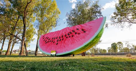 Feast Your Eyes On Queenslands New ‘big Watermelon Urban List Brisbane