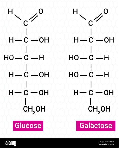 Structural Formula Of Galactose